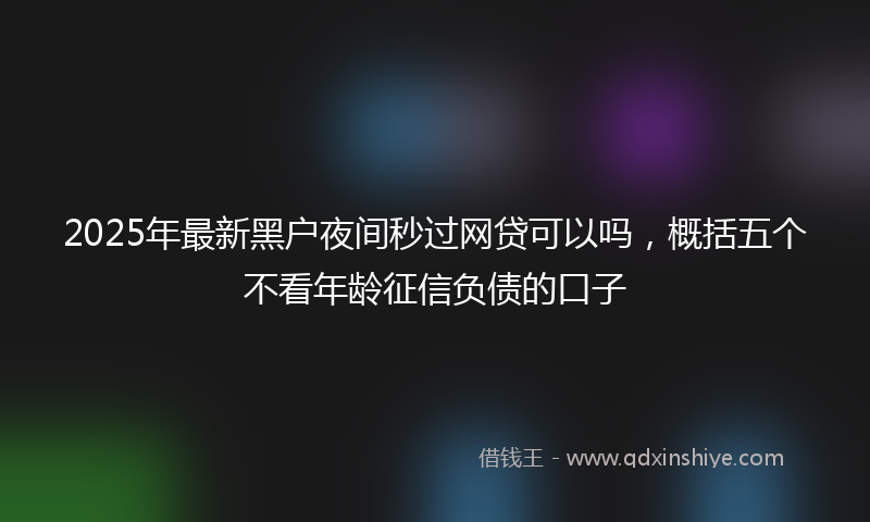 2025年最新黑户夜间秒过网贷可以吗，概括五个不看年龄征信负债的口子
