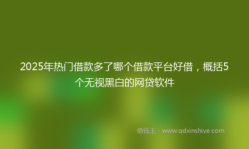 2025年热门借款多了哪个借款平台好借，概括5个无视黑白的网贷软件