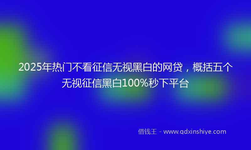 2025年热门不看征信无视黑白的网贷，概括五个无视征信黑白100%秒下平台