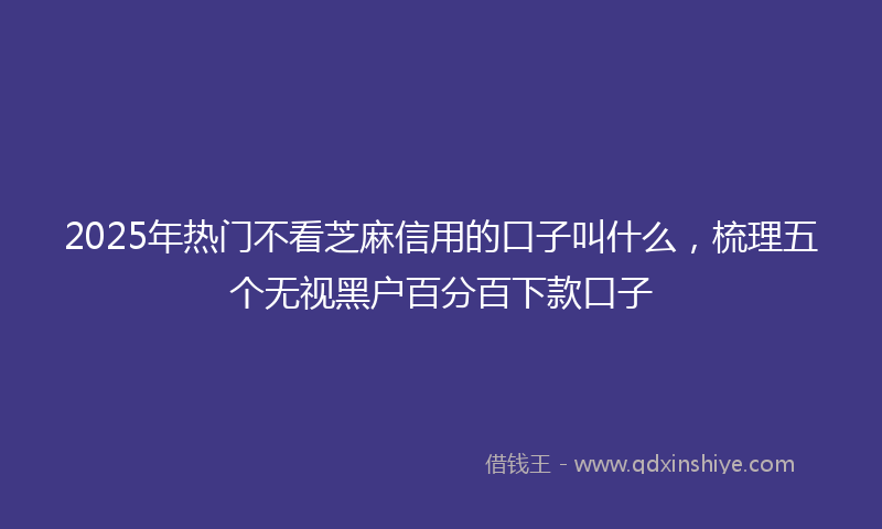 2025年热门不看芝麻信用的口子叫什么，梳理五个无视黑户百分百下款口子