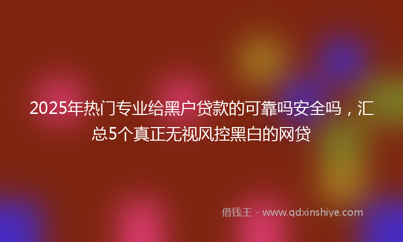 2025年热门专业给黑户贷款的可靠吗安全吗，汇总5个真正无视风控黑白的网贷