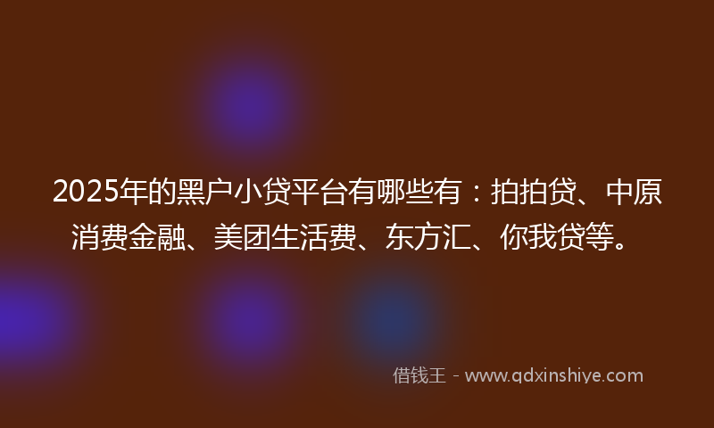 2025年的黑户小贷平台有哪些有：拍拍贷、中原消费金融、美团生活费、东方汇、你我贷等。