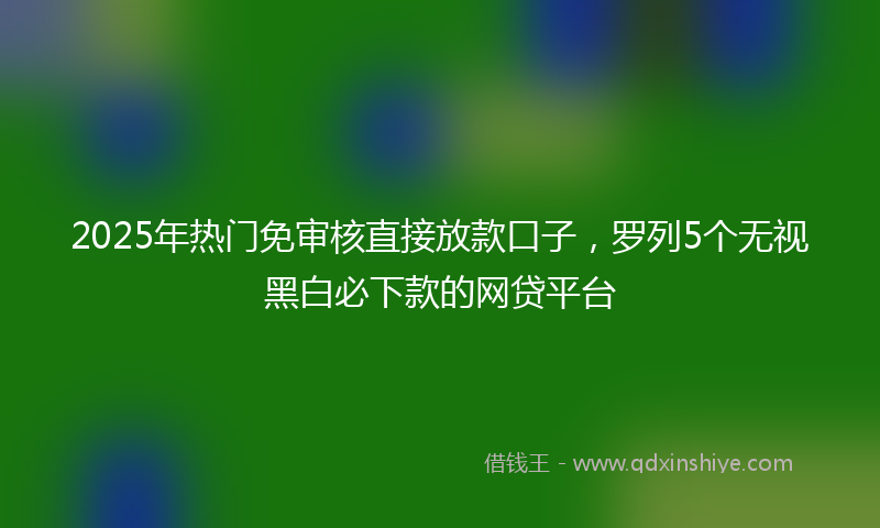 2025年热门免审核直接放款口子，罗列5个无视黑白必下款的网贷平台