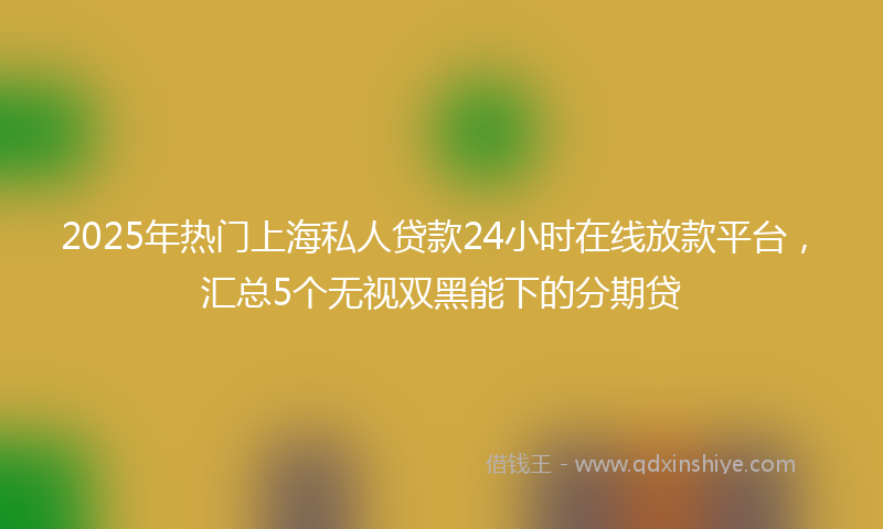 2025年热门上海私人贷款24小时在线放款平台，汇总5个无视双黑能下的分期贷