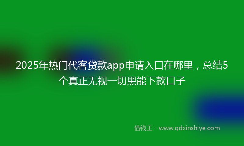 2025年热门代客贷款app申请入口在哪里，总结5个真正无视一切黑能下款口子