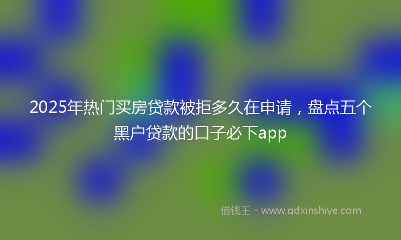 2025年热门买房贷款被拒多久在申请，盘点五个黑户贷款的口子必下app