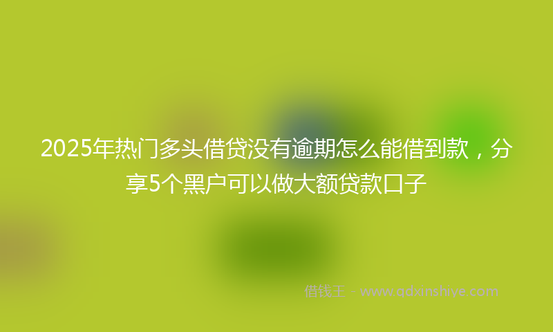 2025年热门多头借贷没有逾期怎么能借到款，分享5个黑户可以做大额贷款口子