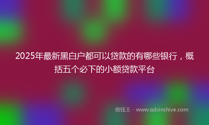 2025年最新黑白户都可以贷款的有哪些银行，概括五个必下的小额贷款平台
