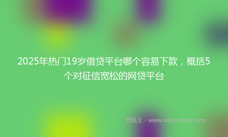 2025年热门19岁借贷平台哪个容易下款，概括5个对征信宽松的网贷平台