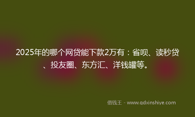 2025年的哪个网贷能下款2万有：省呗、读秒贷、投友圈、东方汇、洋钱罐等。