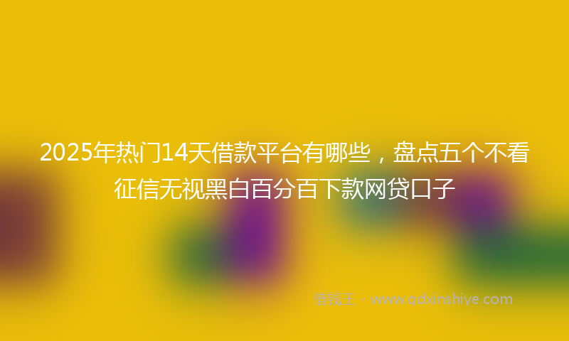 2025年热门14天借款平台有哪些，盘点五个不看征信无视黑白百分百下款网贷口子