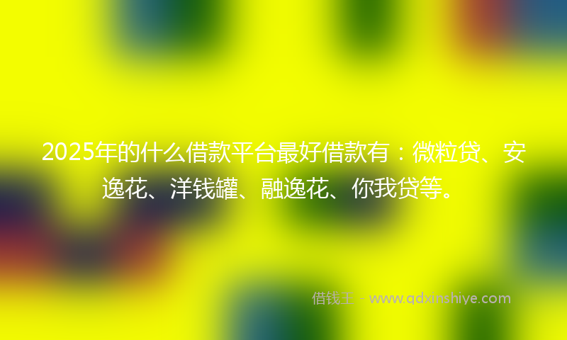 2025年的什么借款平台最好借款有：微粒贷、安逸花、洋钱罐、融逸花、你我贷等。