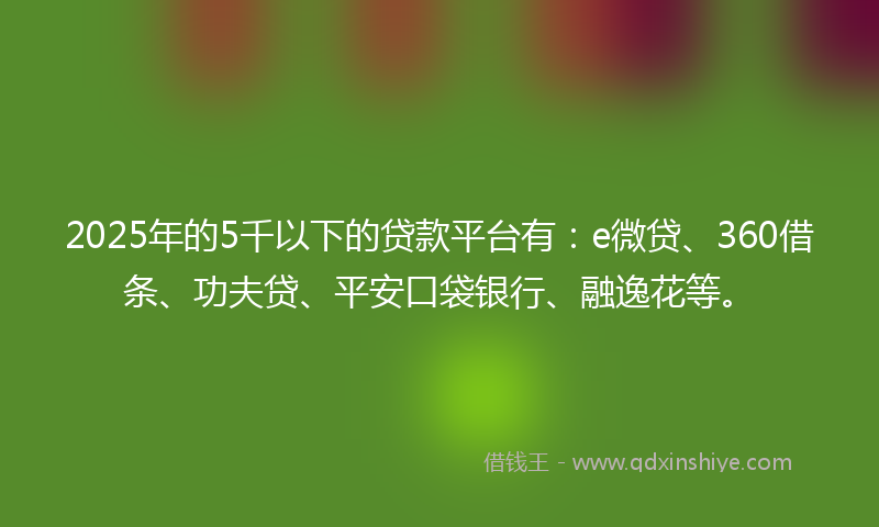 2025年的5千以下的贷款平台有：e微贷、360借条、功夫贷、平安口袋银行、融逸花等。