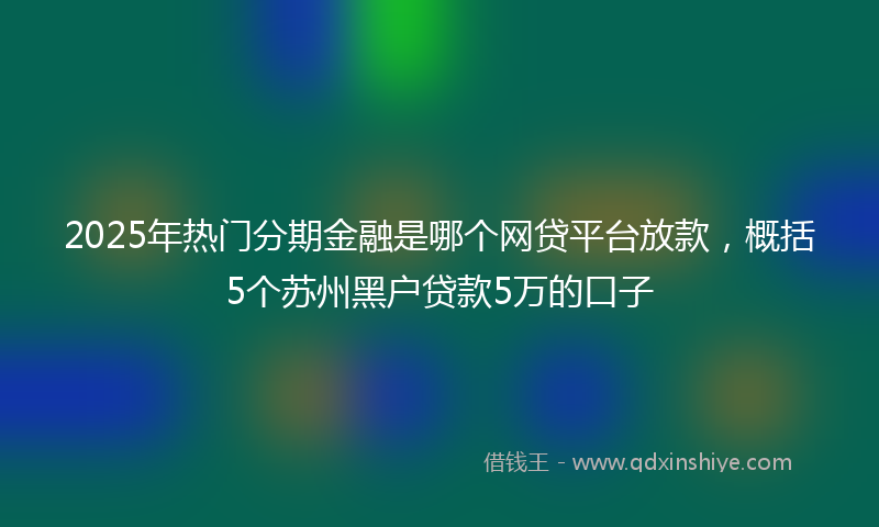 2025年热门分期金融是哪个网贷平台放款，概括5个苏州黑户贷款5万的口子