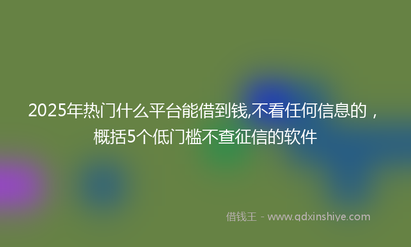 2025年热门什么平台能借到钱,不看任何信息的，概括5个低门槛不查征信的软件