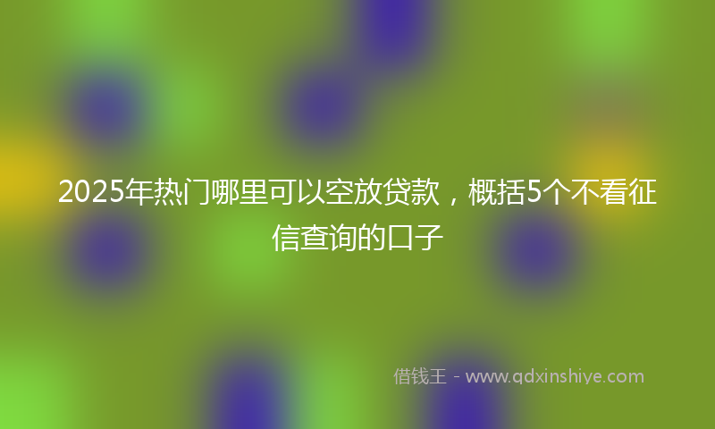 2025年热门哪里可以空放贷款，概括5个不看征信查询的口子