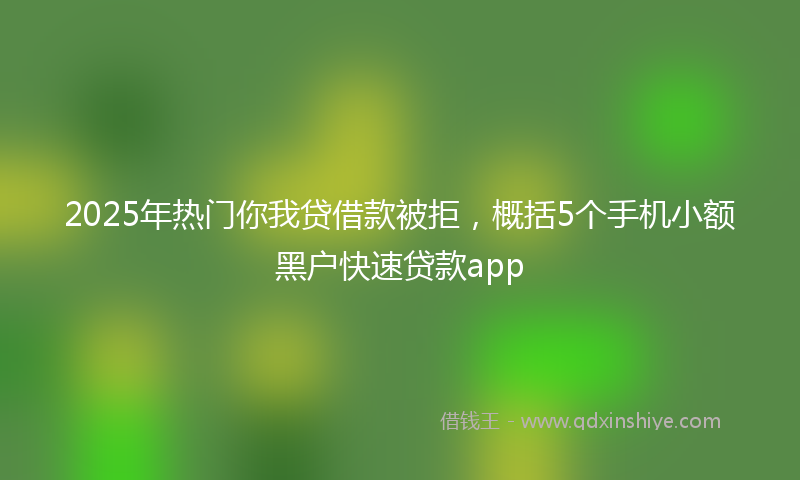 2025年热门你我贷借款被拒，概括5个手机小额黑户快速贷款app