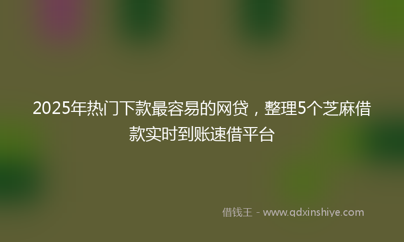 2025年热门下款最容易的网贷，整理5个芝麻借款实时到账速借平台