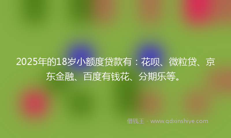 2025年的18岁小额度贷款有：花呗、微粒贷、京东金融、百度有钱花、分期乐等。