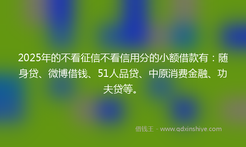 2025年的不看征信不看信用分的小额借款有：随身贷、微博借钱、51人品贷、中原消费金融、功夫贷等。