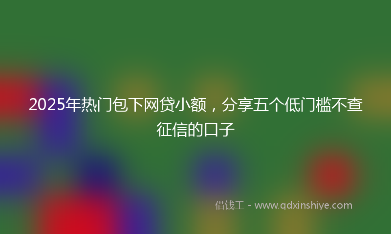 2025年热门包下网贷小额，分享五个低门槛不查征信的口子