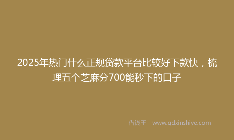 2025年热门什么正规贷款平台比较好下款快，梳理五个芝麻分700能秒下的口子