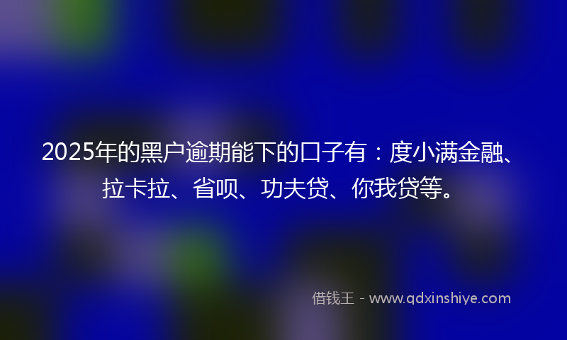 2025年的黑户逾期能下的口子有：度小满金融、拉卡拉、省呗、功夫贷、你我贷等。