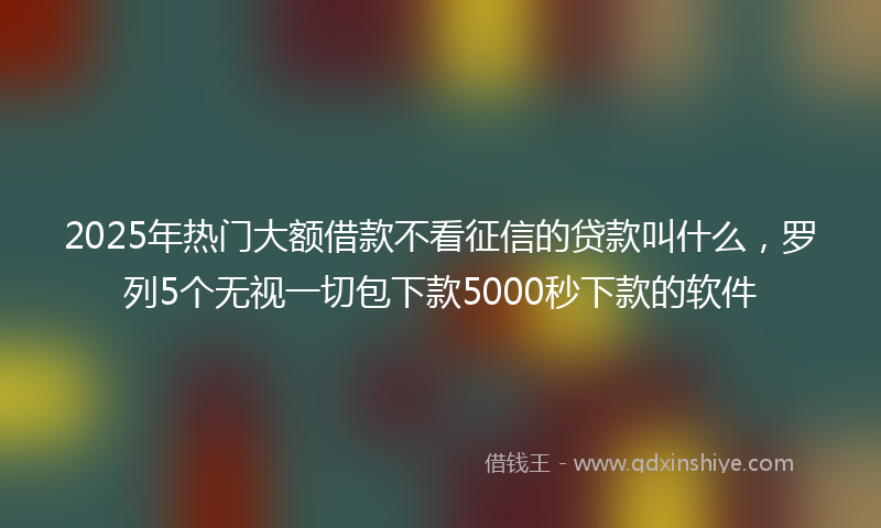 2025年热门大额借款不看征信的贷款叫什么，罗列5个无视一切包下款5000秒下款的软件