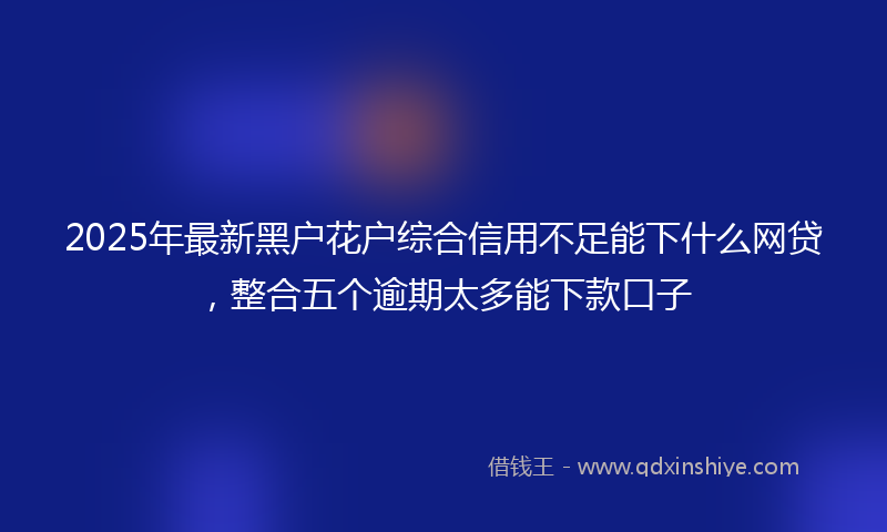 2025年最新黑户花户综合信用不足能下什么网贷，整合五个逾期太多能下款口子