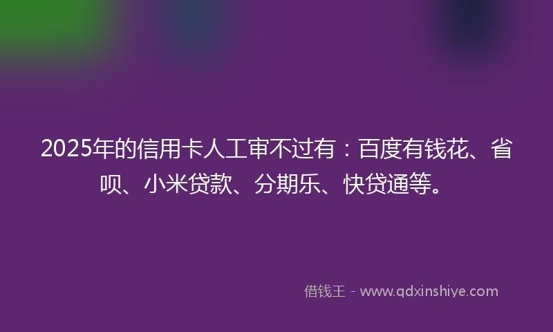 2025年的信用卡人工审不过有：百度有钱花、省呗、小米贷款、分期乐、快贷通等。