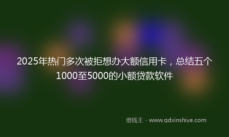 2025年热门多次被拒想办大额信用卡，总结五个1000至5000的小额贷款软件