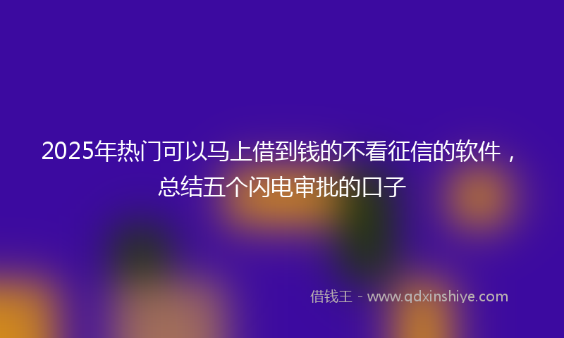 2025年热门可以马上借到钱的不看征信的软件，总结五个闪电审批的口子