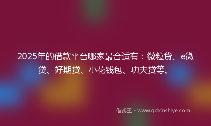 2025年的借款平台哪家最合适有：微粒贷、e微贷、好期贷、小花钱包、功夫贷等。