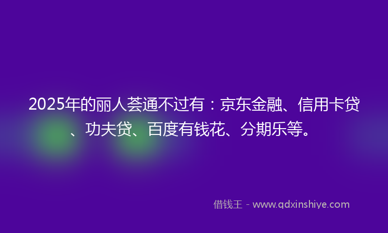 2025年的丽人荟通不过有：京东金融、信用卡贷、功夫贷、百度有钱花、分期乐等。