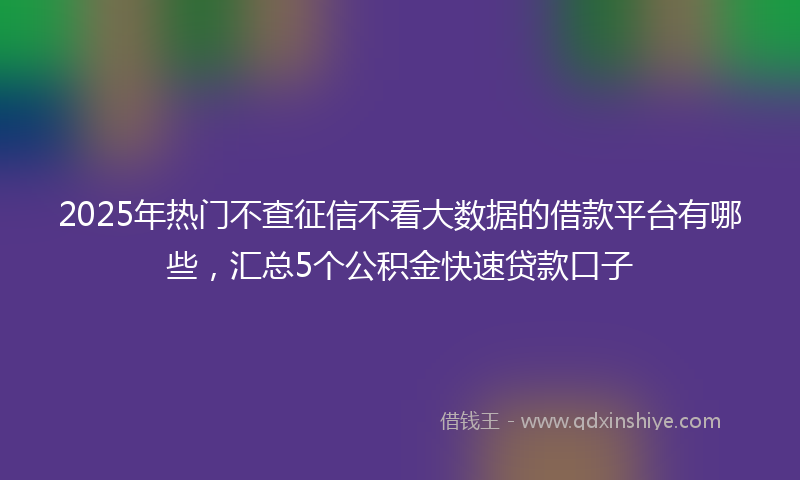 2025年热门不查征信不看大数据的借款平台有哪些，汇总5个公积金快速贷款口子