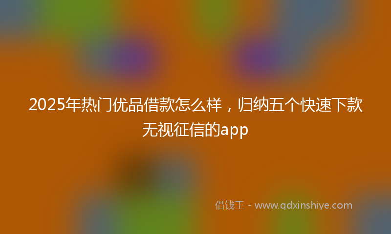 2025年热门优品借款怎么样，归纳五个快速下款无视征信的app