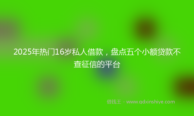 2025年热门16岁私人借款，盘点五个小额贷款不查征信的平台