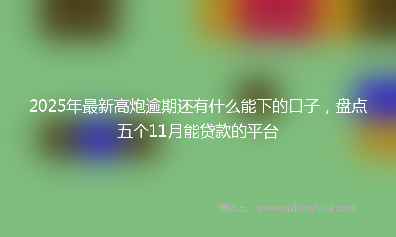 2025年最新高炮逾期还有什么能下的口子，盘点五个11月能贷款的平台