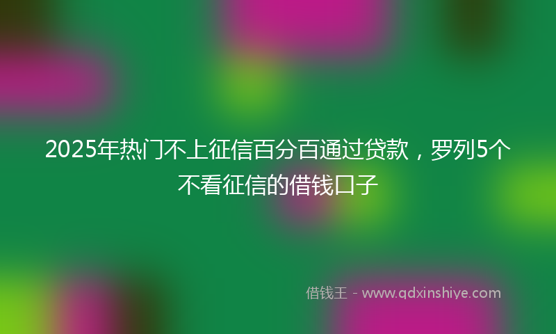 2025年热门不上征信百分百通过贷款，罗列5个不看征信的借钱口子
