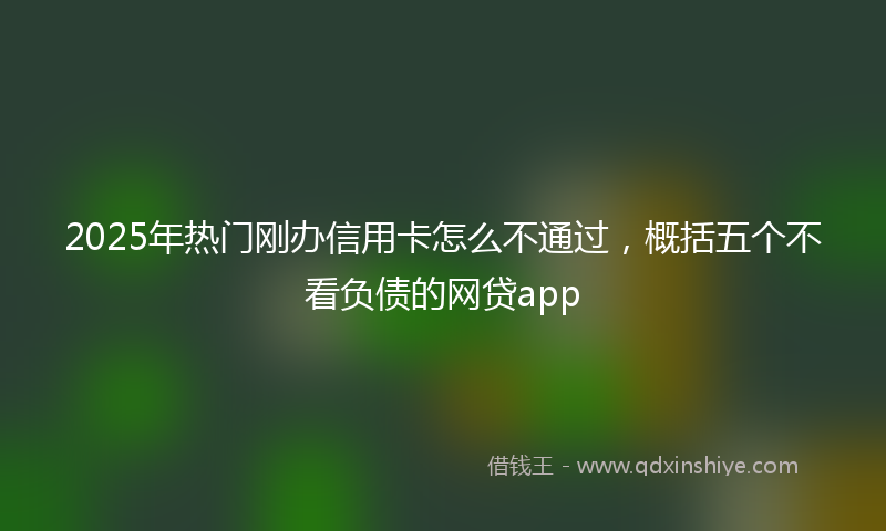 2025年热门刚办信用卡怎么不通过，概括五个不看负债的网贷app