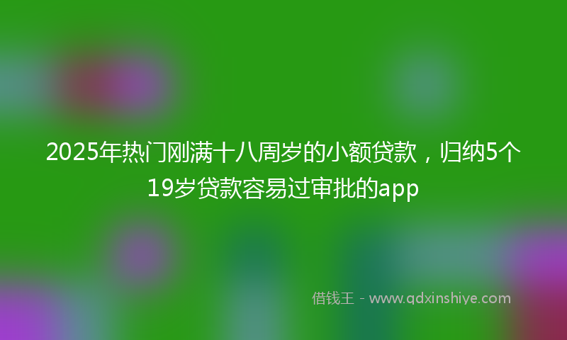 2025年热门刚满十八周岁的小额贷款，归纳5个19岁贷款容易过审批的app