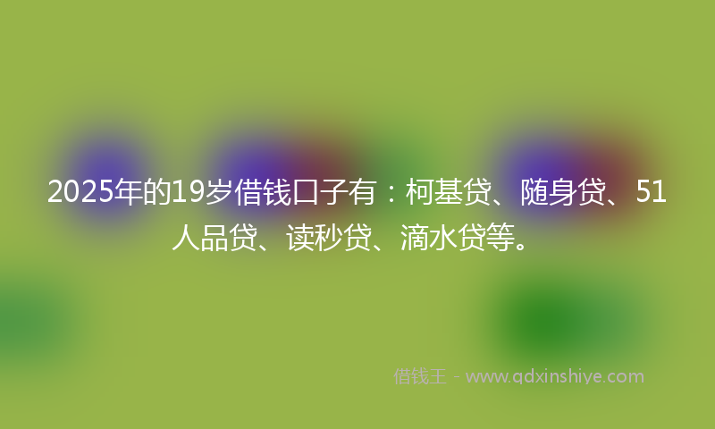 2025年的19岁借钱口子有：柯基贷、随身贷、51人品贷、读秒贷、滴水贷等。