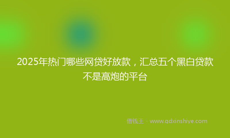 2025年热门哪些网贷好放款，汇总五个黑白贷款不是高炮的平台