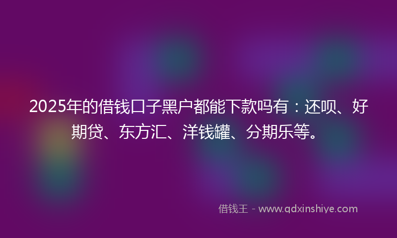 2025年的借钱口子黑户都能下款吗有：还呗、好期贷、东方汇、洋钱罐、分期乐等。