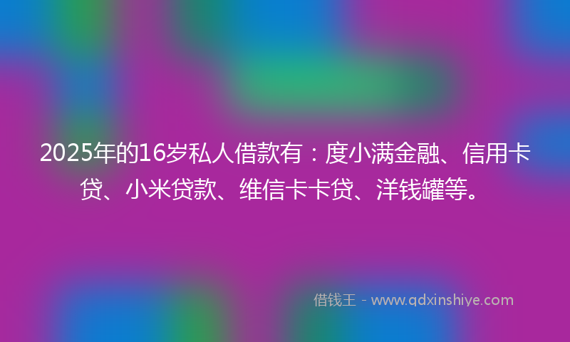 2025年的16岁私人借款有：度小满金融、信用卡贷、小米贷款、维信卡卡贷、洋钱罐等。