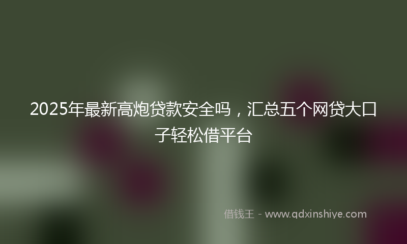 2025年最新高炮贷款安全吗，汇总五个网贷大口子轻松借平台