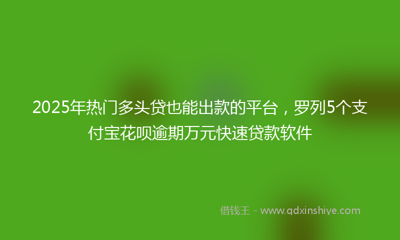 2025年热门多头贷也能出款的平台，罗列5个支付宝花呗逾期万元快速贷款软件