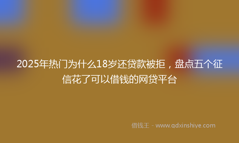 2025年热门为什么18岁还贷款被拒，盘点五个征信花了可以借钱的网贷平台
