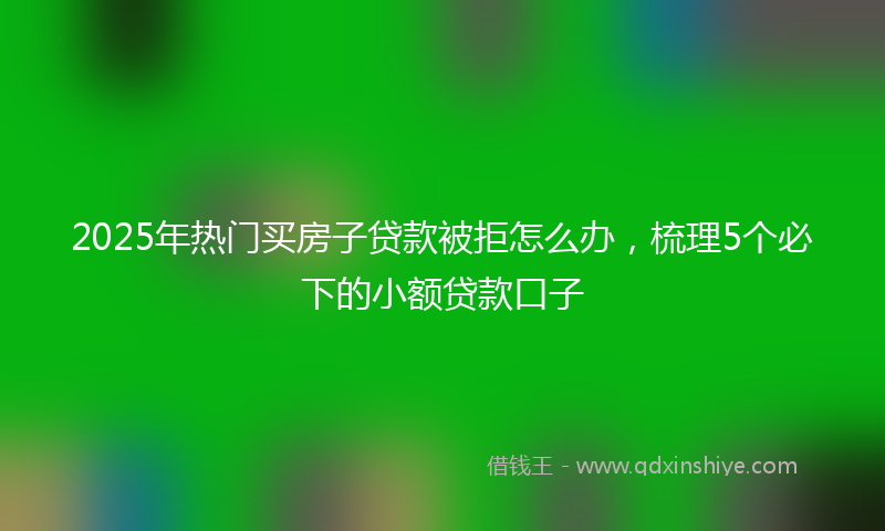 2025年热门买房子贷款被拒怎么办，梳理5个必下的小额贷款口子
