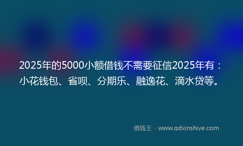 2025年的5000小额借钱不需要征信2025年有：小花钱包、省呗、分期乐、融逸花、滴水贷等。